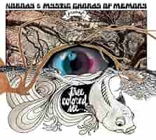 中古 Nobody & Mystic Chords of Memory Amazon.co.jp: Tree Colored See: Music